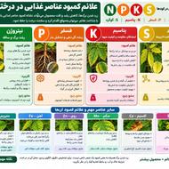 کود گیاهی و ارگانیک