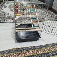 قفس عروس هلندی تمیز سالم نو قیمت مناسب ارتفاع 55عرض40