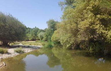 باغچه کناررودخانه درهماشهر