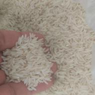 برنج دم سیاه مینودشت