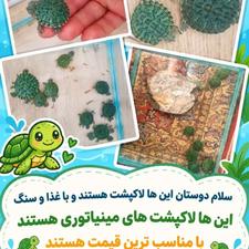 لاکپشت گوش قرمز سنگاپوری