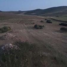 یونجه درجه 1 دستچین