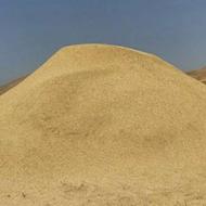 کاه گندم دیم کردستان