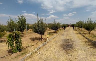 فروش زمین کشاورزی 1400 متر در بوکان