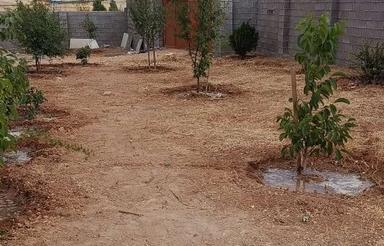باغچه هزار متری
