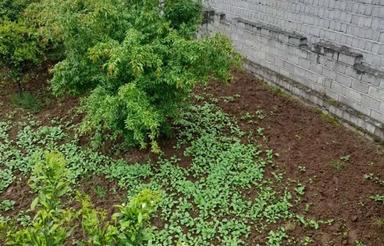 125 متر زمین مسکونی