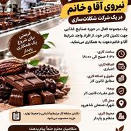 نیروی خط تولید اقا