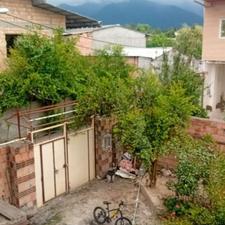 روستایی دلباز/گل افرا