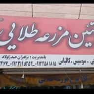 نیروی ماهریا نیمه ماهرمرغکار