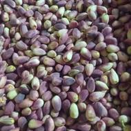 پسته اکبری درجه تازه چین