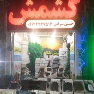 توت خشک برای دوشاب گیریه