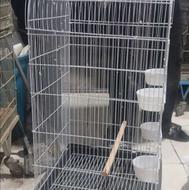 قفس نوع نو اصلاً استفاده نشده