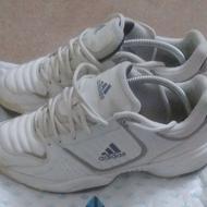 کتونی آدیداس adidas اصل