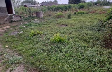 خانه و زمین ملک