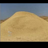 کاه گندمدیمفروشی