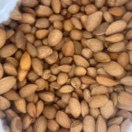 بادام شیرین تازه و جوان