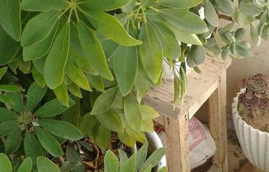 بهترین گزینه برای خانه دار شدن با پرداخت آسان