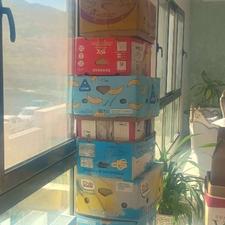 کارتن موزی اسباب کشی