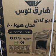 بخاری شارق توس