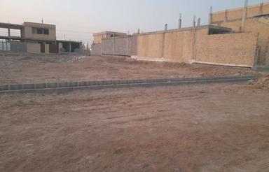 باسلام قیمت مناسب