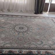 فرش 12متری نگین مشهد