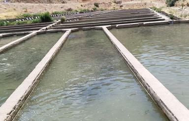 فروش کارگاه پرورش ماهی صدتنی