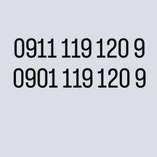 سیمکارت دوقلو رند 09111191209 و 09011191209