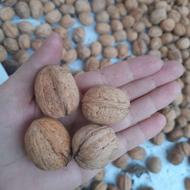 گردو کاغذی تازه چین
