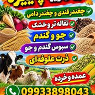 تفاله تر و خشک چغندر قند و دامی