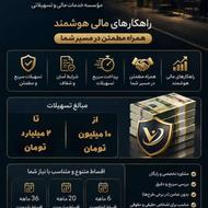 موسسه خدمات مالی و تسهیلاتی وامینه
