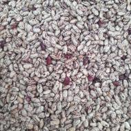 لوبیا چیتی آرژانتینی بوجار شده و دستچین شده