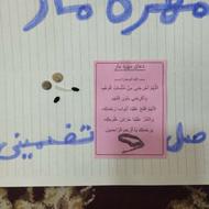 مهره مار.....