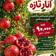 انار شیرین وملس