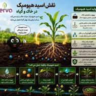 برای پاییز چه کودی مصرف شود