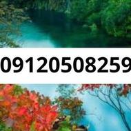 09120508259