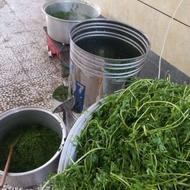 خرد کردن سبزی در منزل