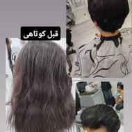 کوتاهی رایگان
