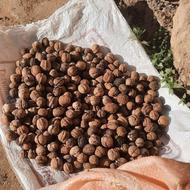 گردو کاغذی محلی