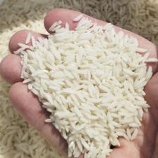 برنج طارم هاشمی