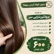 موخوره گیری همراه با پروتئین تراپی سرد