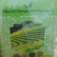چای سبز امیر اعلم
