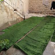 چممن منصوری