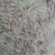 برنج فجرسوزنی