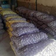سیر درجه یک پارسال از گوگان خریدم