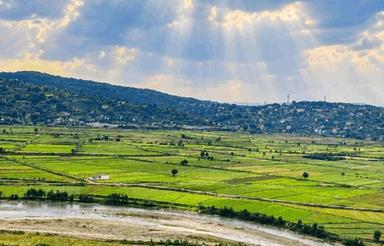 فروش زمین مسکونی 450 متر در سالار دره