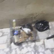 دوتا کبوتر فروشی