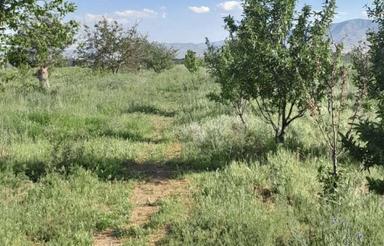 213متر زمین مسکونی با پروانه در رودسر
