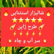 فروش شالیزار 7,000 متر کوچکسرا دوک استثنایی