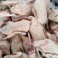 اردک کشتار روز به صورت کلی و جزئی