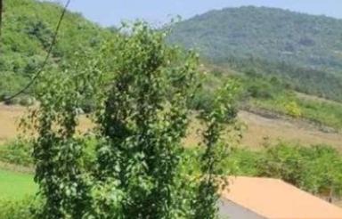 سوئیت اجاره ای کیاسر لنگر الندان